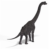 Brachiosaurus 21 A_0001